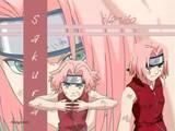 Rules - de ce nu va palce sakura? =( - reguli(care nu exista xDDD)